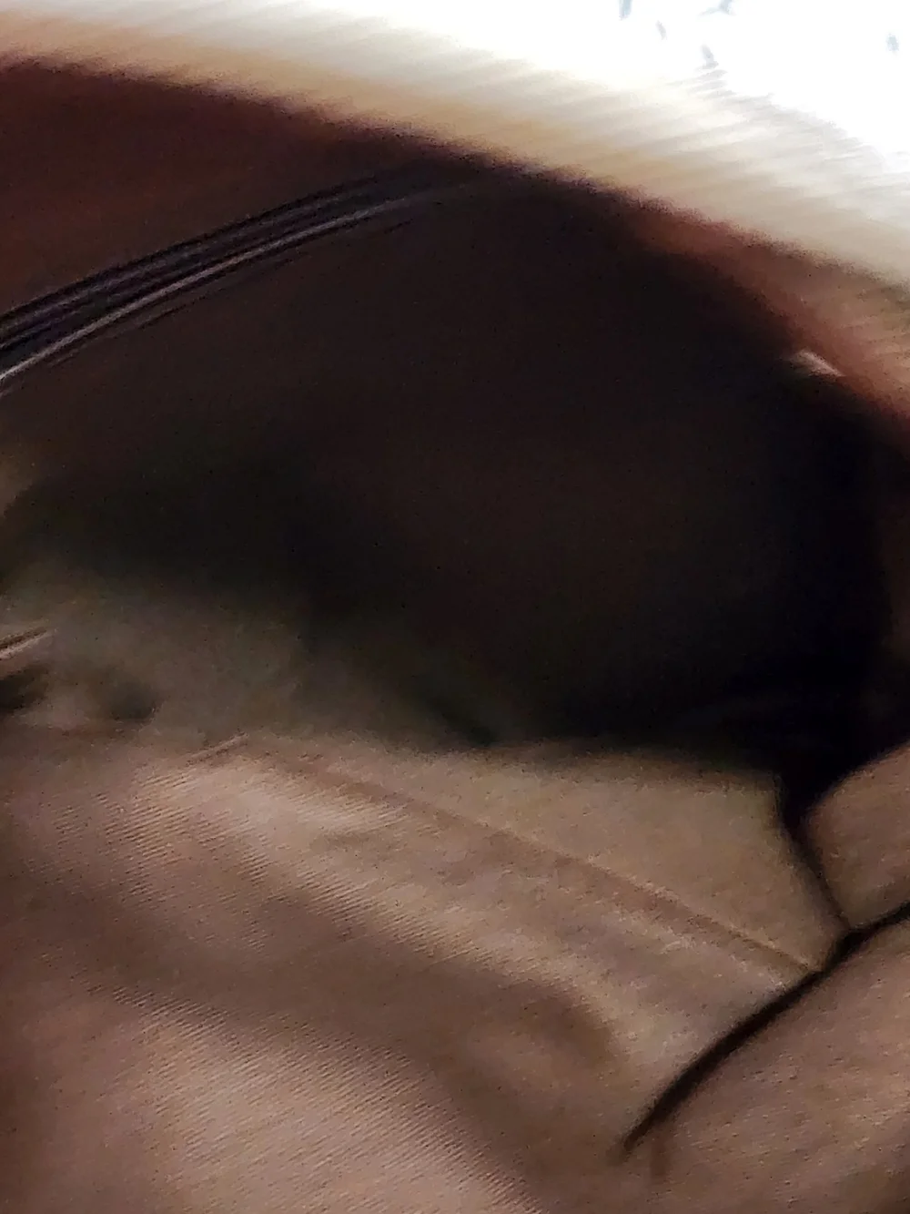 Gustin Brown Canvas Crossbody Bag for Men